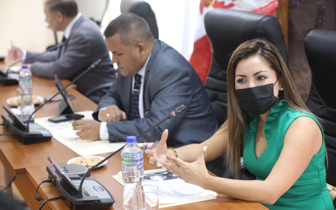 Parlamento Andino contribuye a la reactivación económica de fronteras