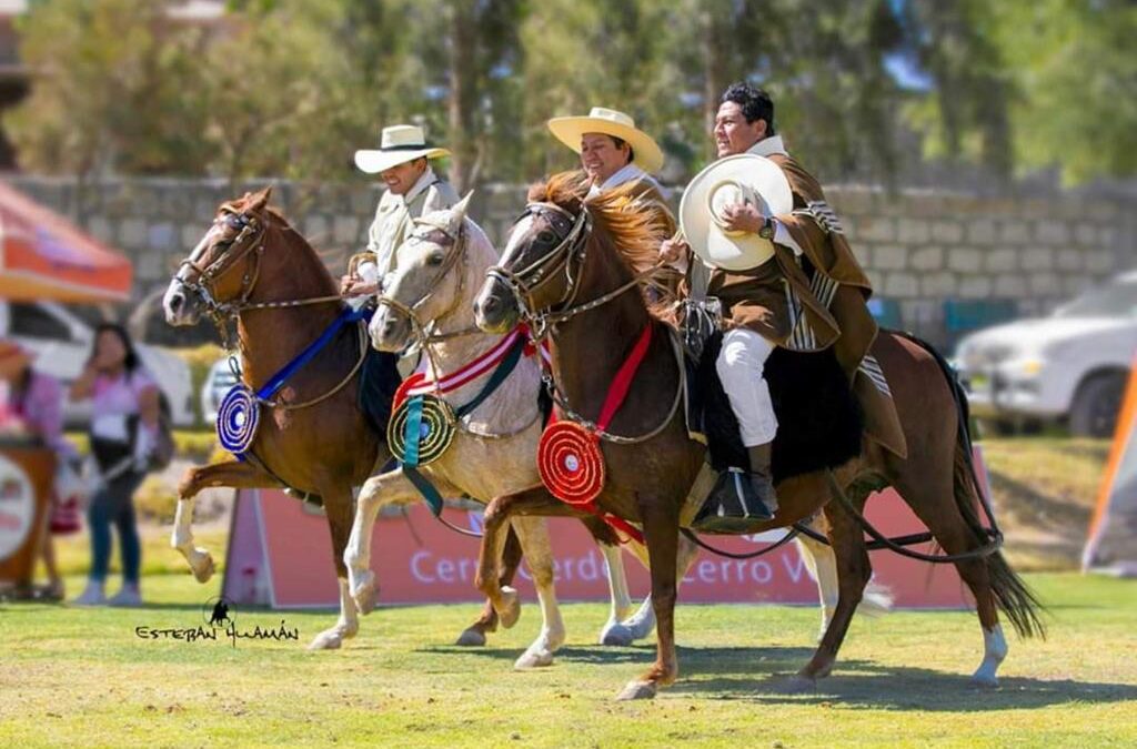 El Chalán ya es Patrimonio Cultural y Referente se la región Andina