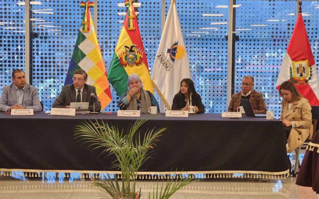 Parlamento Andino exhorta al diálogo y propone creación de comisión especial e investigación de hechos de violencia en Perú