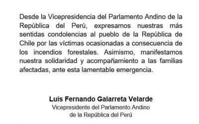 Solidaridad con Chile ante los incendios forestales