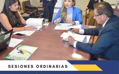 Comisión Sexta analiza propuesta para fortalecer los sistemas de cuidados en la Región Andina.