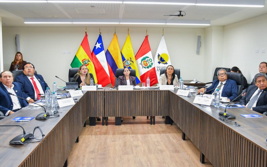 Representación peruana impulsa creación de Comisión Especial sobre el Fenómeno El Niño y Gestión de Riesgos de Desastre